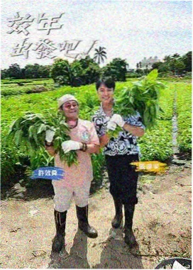 配乐专题上新